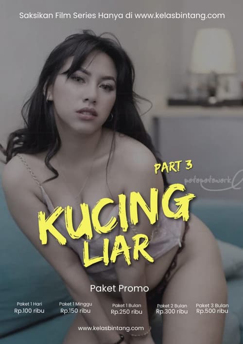 Kucing Liar Part 3 poster