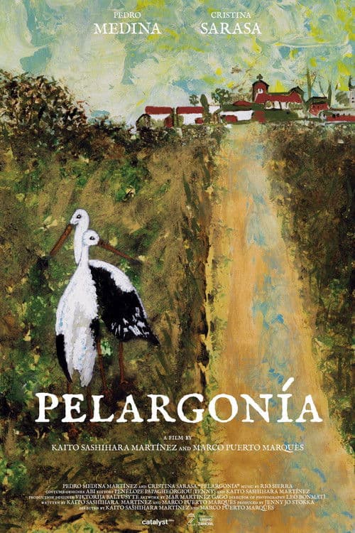 Pelargonía poster