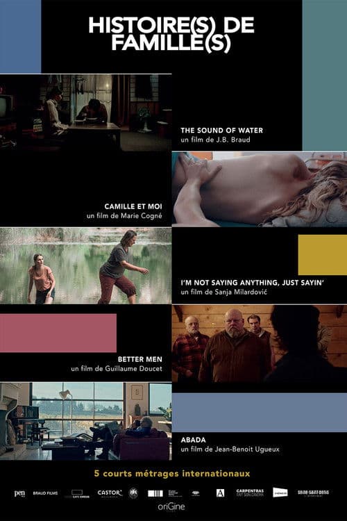 Histoire(s) de Famille(s) poster