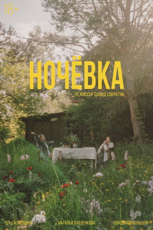 Ночёвка poster