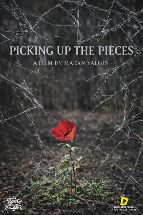 Picking Up the Pieces poster