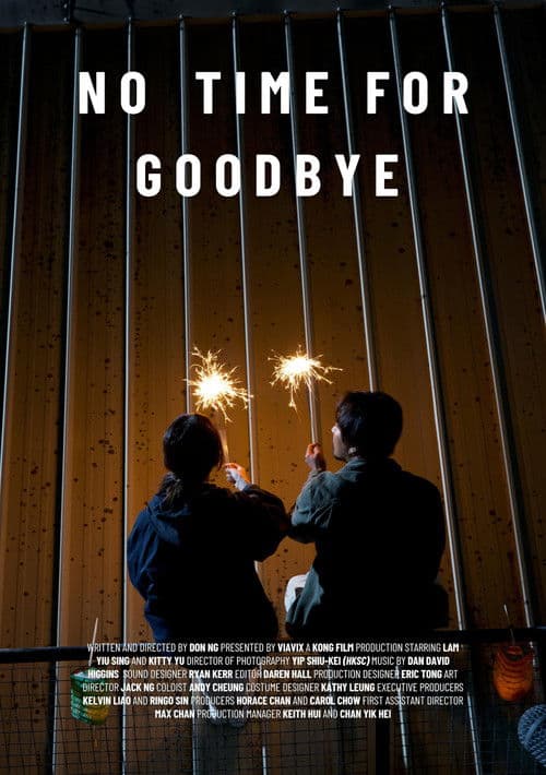 No Time For Goodbye poster