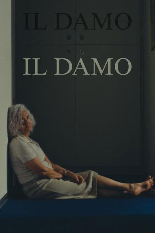 Il Damo poster