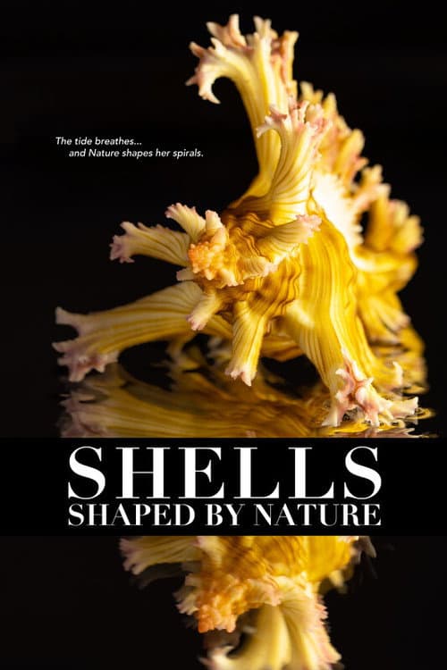 Shells: Shaped by Nature poster