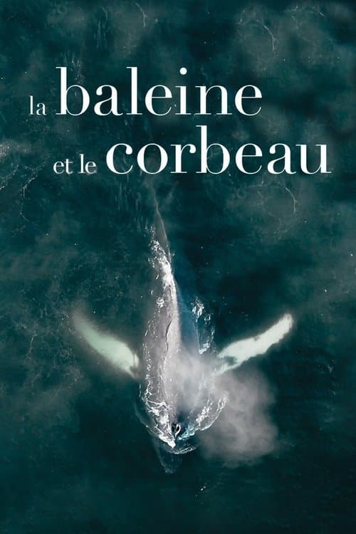 The Whale and the Raven poster