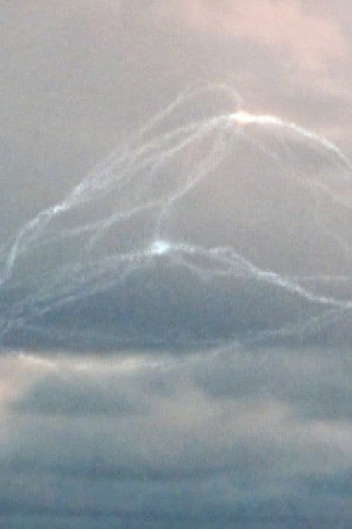 Grain of Truth poster