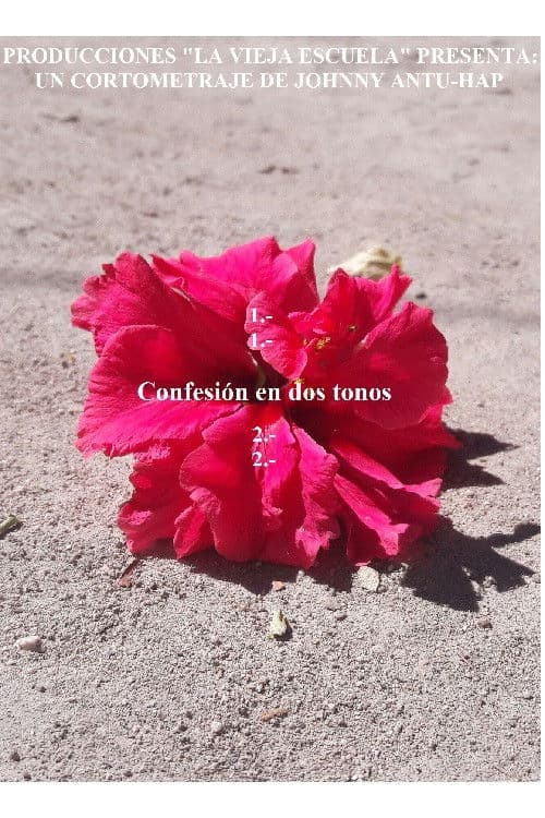 Confesión en dos tonos poster