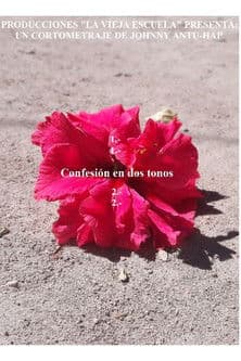 Confesión en dos tonos poster