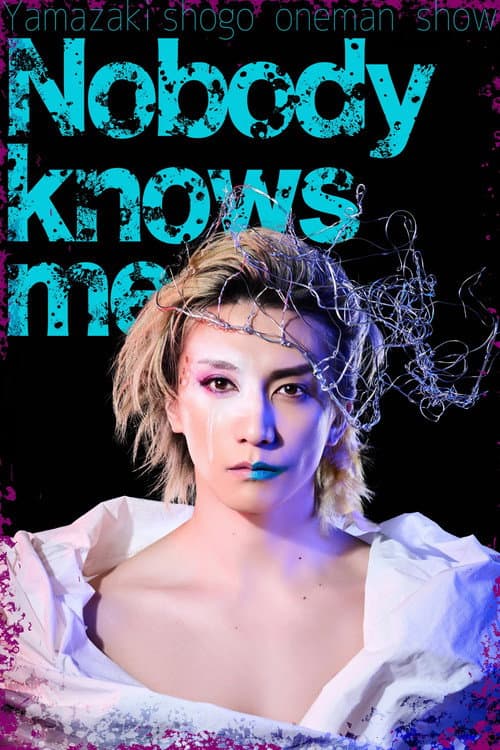 Nobody knows me poster