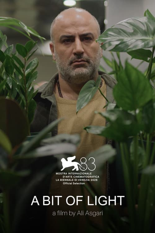 A Bit of Light poster