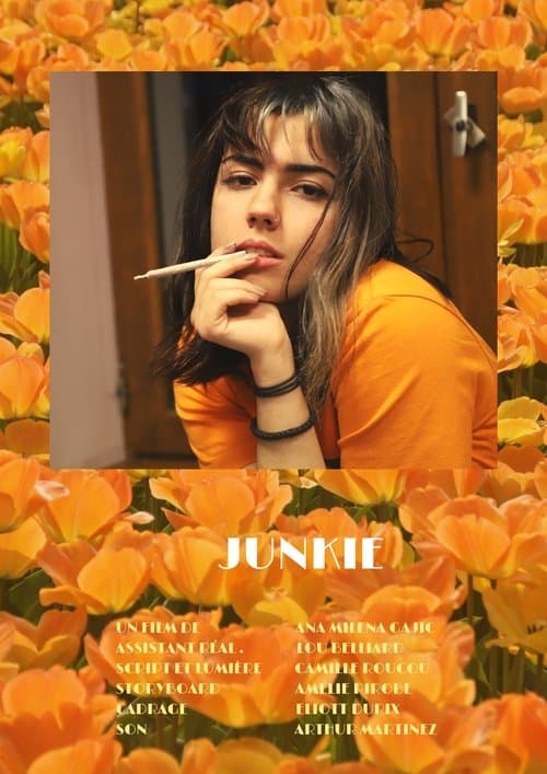 Junkie poster