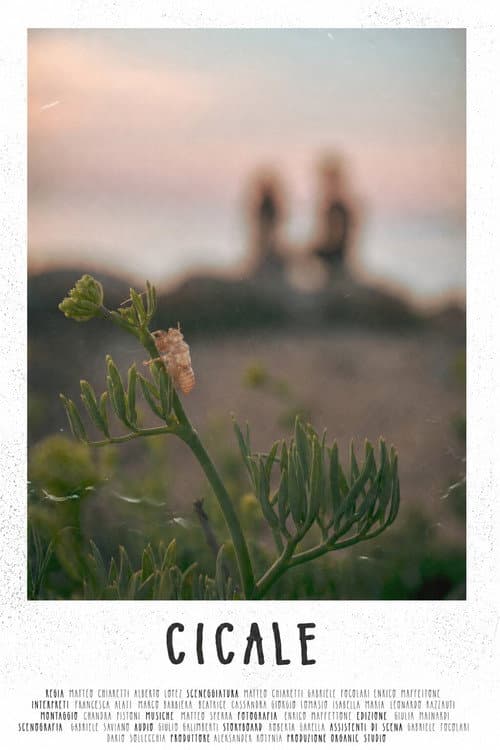 CICALE poster
