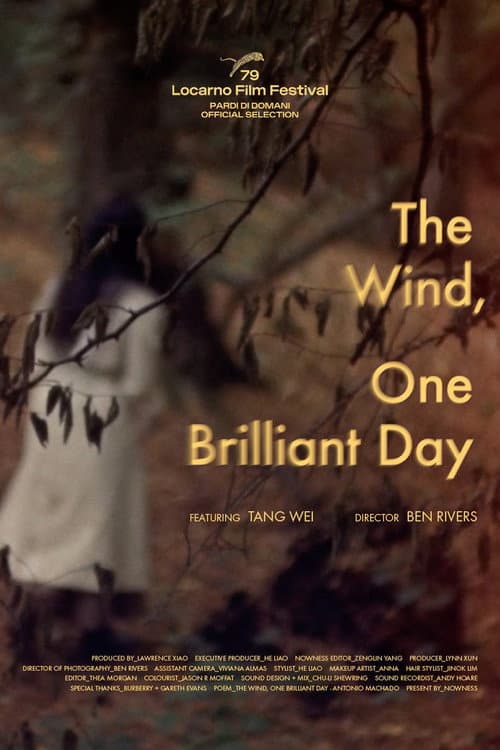 The Wind, One Brilliant Day poster