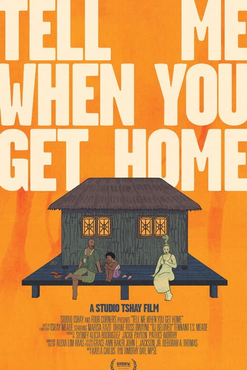 Tell Me When You Get Home poster