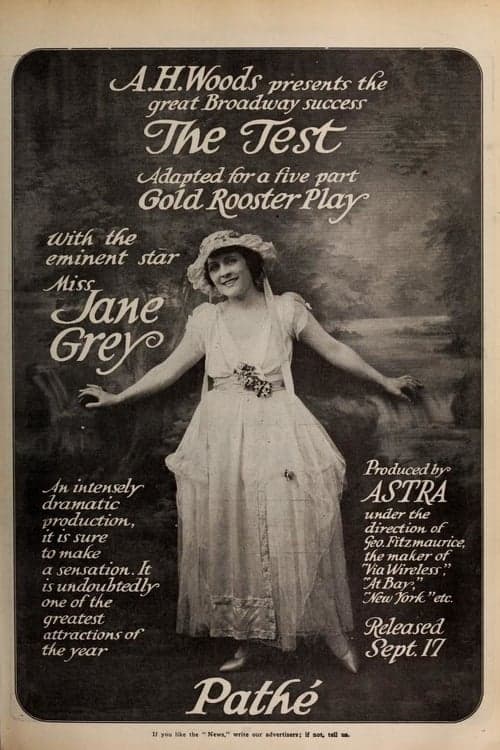 The Test poster