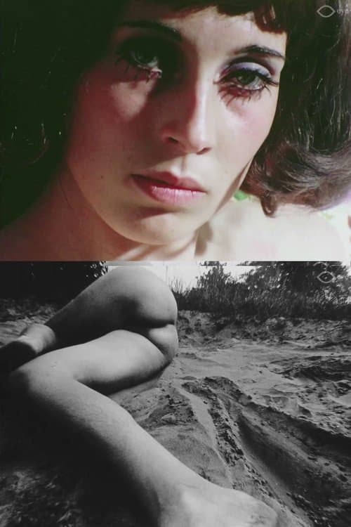 film fragments poster