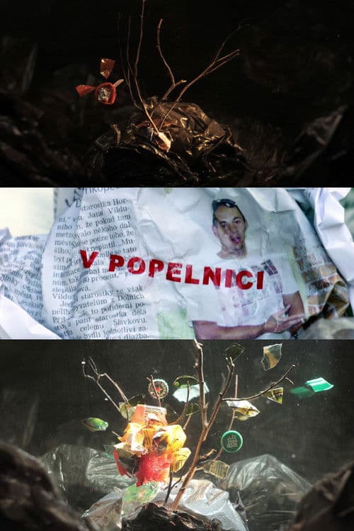 In a Dumpster poster