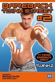 Bareback Twink Street 2 poster