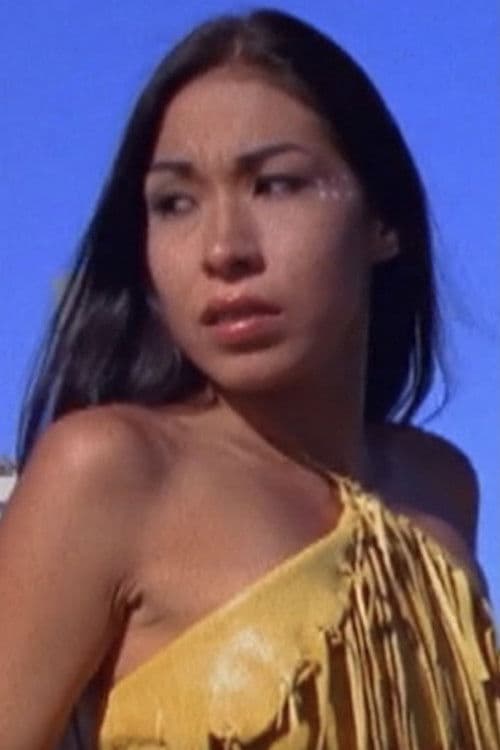 Zwei Indianer aus Winnipeg poster