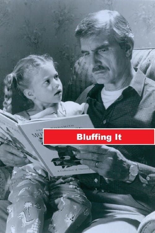 Bluffing It poster