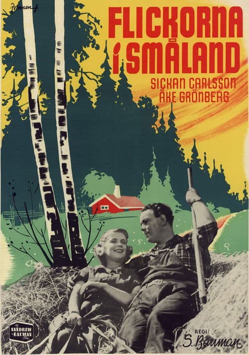 Flickorna i Småland poster
