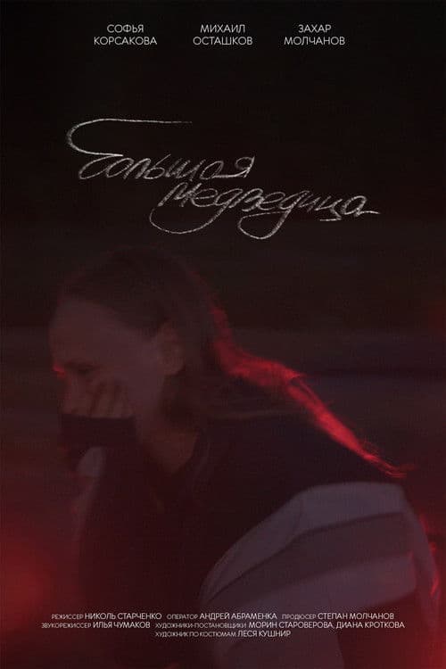 Большая медведица poster