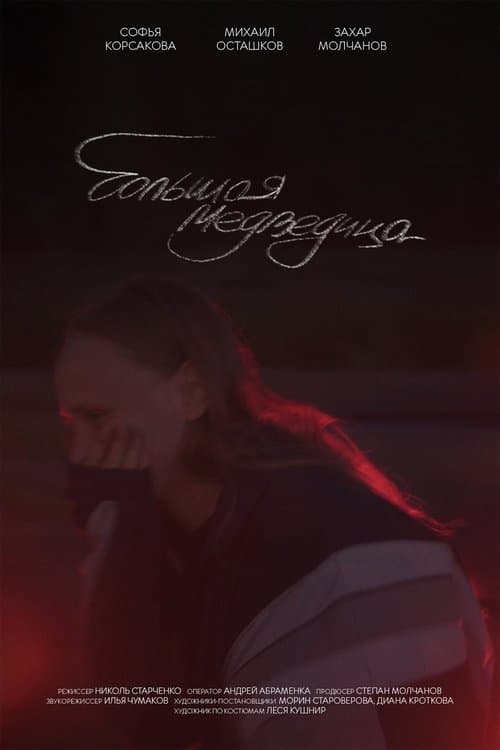 Большая медведица poster