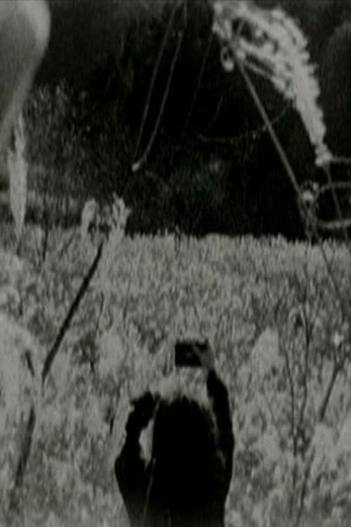 Chichibu Rest poster