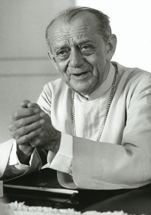 Excuse Me America poster