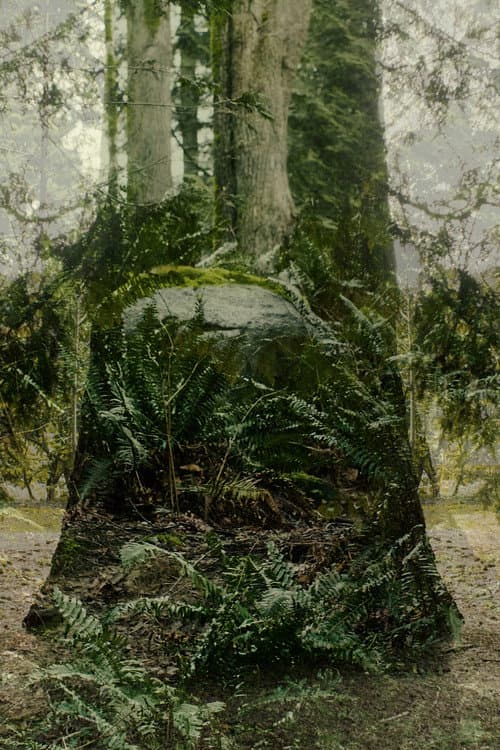 Vertical Remains poster