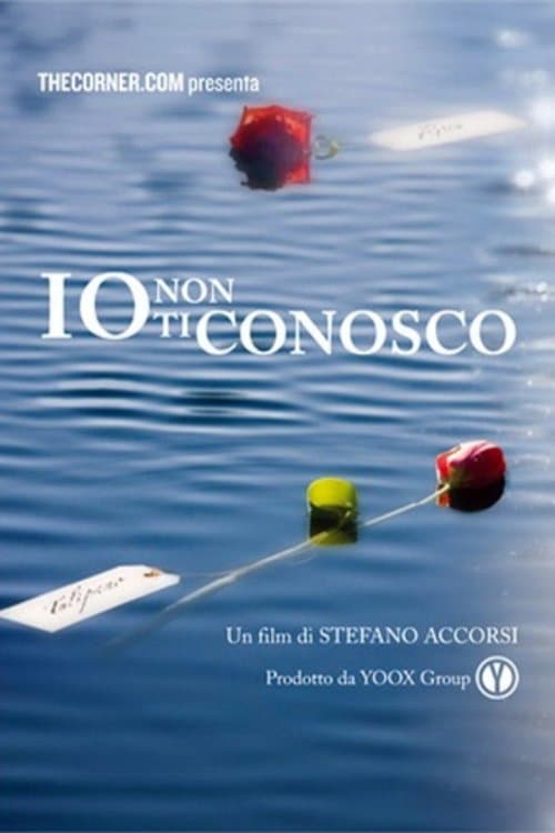 Io non ti conosco poster