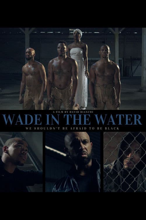 Wade in the Water poster
