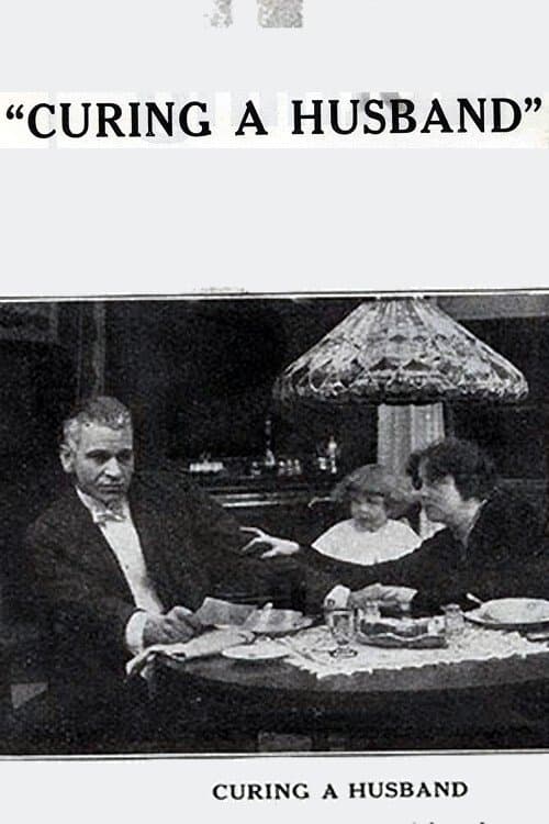 Curing a Husband poster