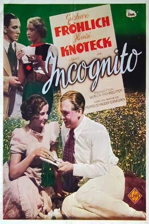 Incognito poster