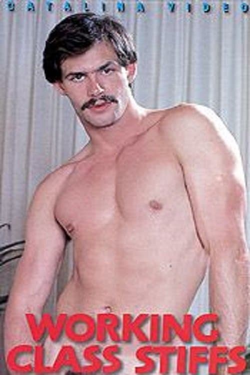 Working Class Stiffs poster