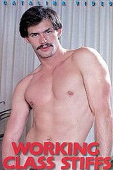 Working Class Stiffs poster