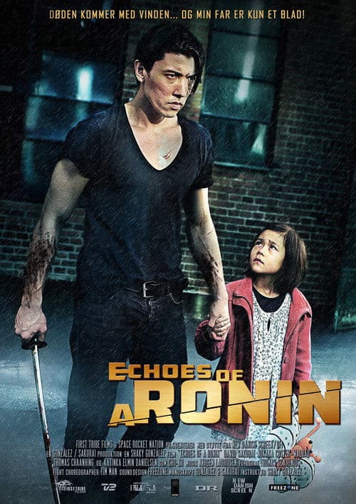 Echoes of a Ronin poster
