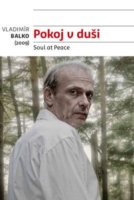 Soul at Peace poster