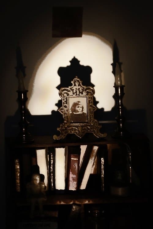 Lucky Realy: the Portrait of a Doll poster