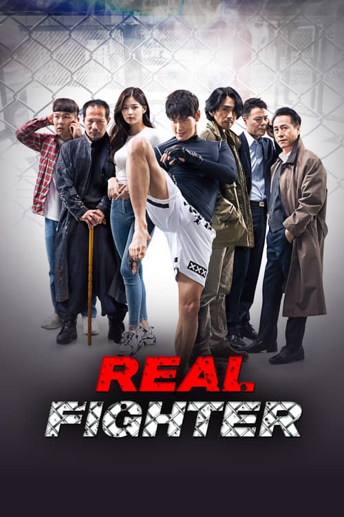 Real Fighter poster