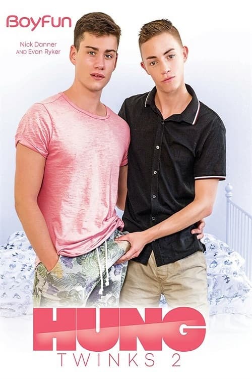 Hung Twinks 2 poster