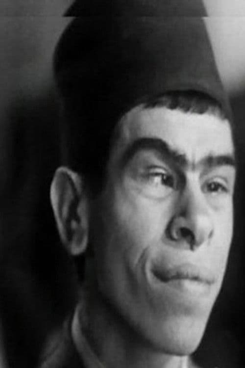 Safa El Gamil profile photo