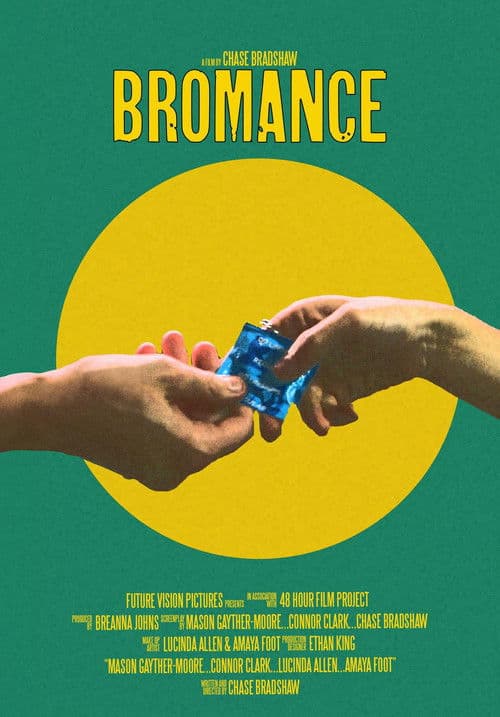 Bromance poster