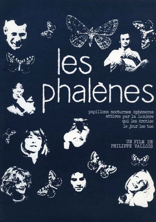 Les phalènes poster