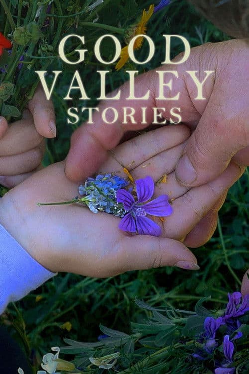 Good Valley Stories poster