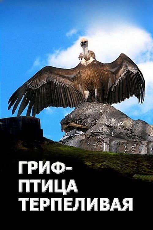 The Vulture Is a Patient Bird poster