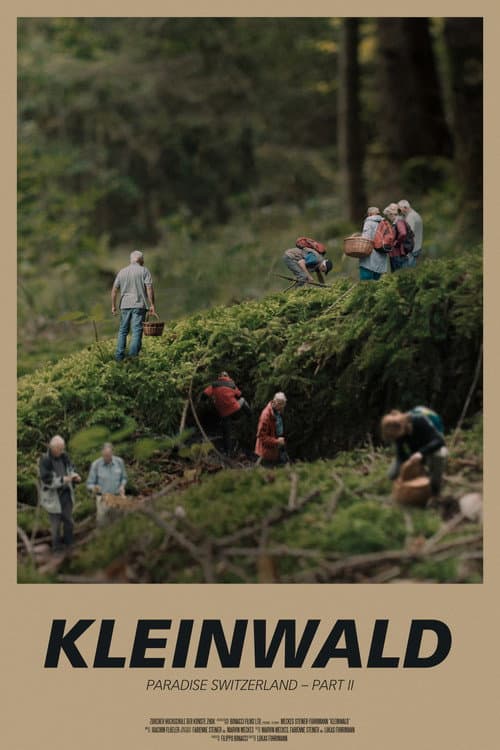 Small Forest poster