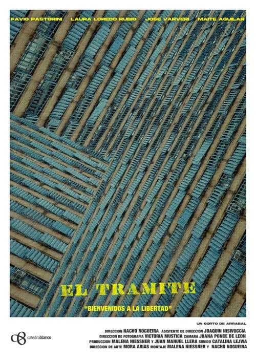 The Procedure poster