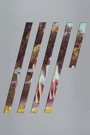 Steven Wilson: 4 ½ poster