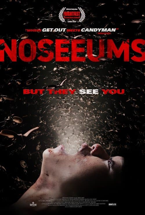Noseeums poster